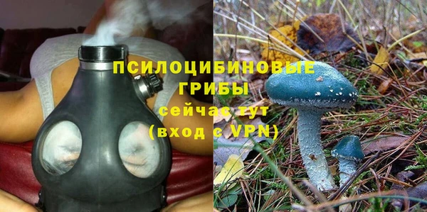 MESCALINE Заволжье