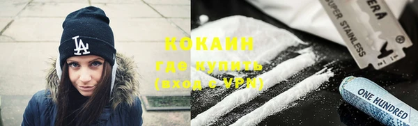 твердый Заводоуковск
