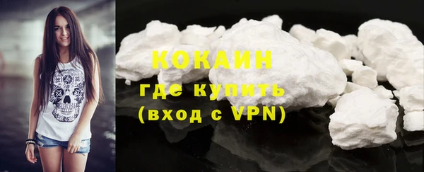 твердый Заводоуковск