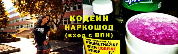 твердый Заводоуковск