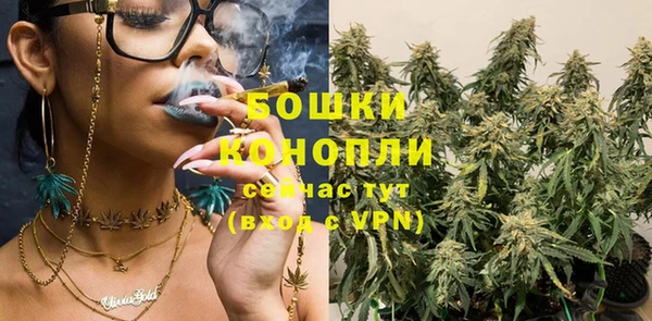 твердый Заводоуковск