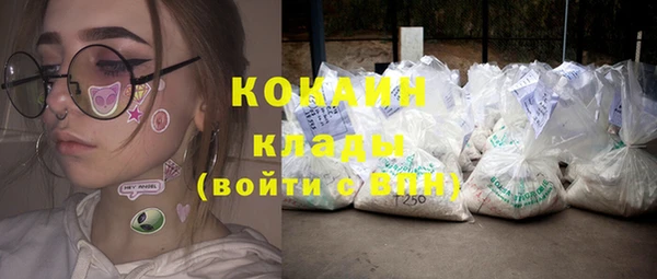 твердый Заводоуковск